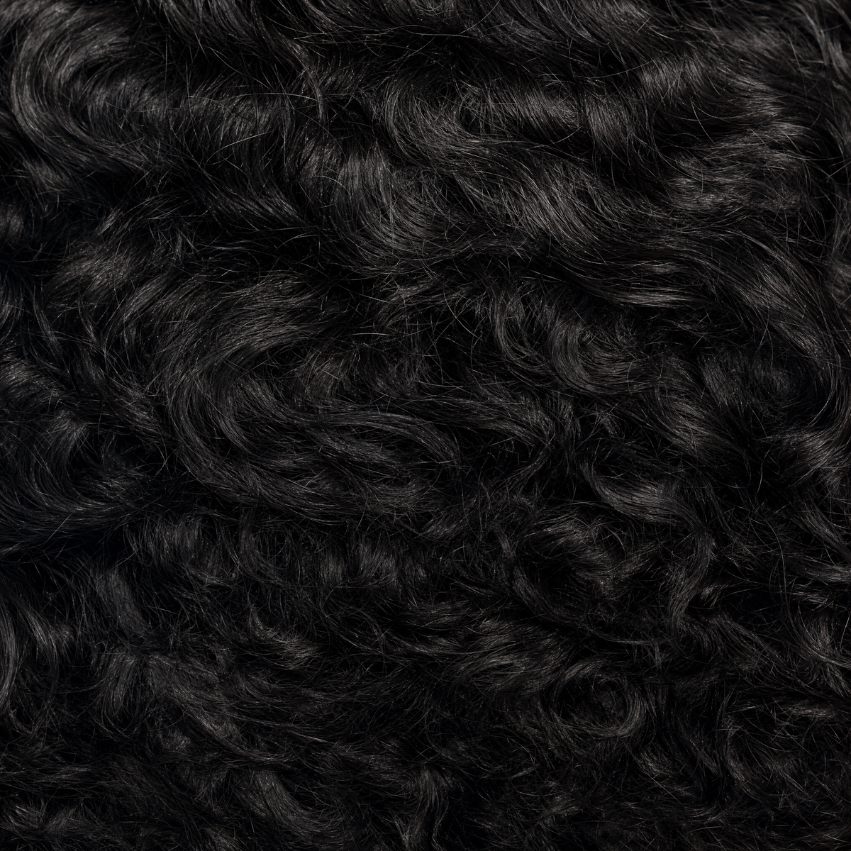 Raw Indian Curly
